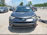 Toyota Rav4 Hybrid Xle JTMRJREV8GD014535 photo
