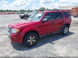 Ford Escape Xlt 1FMCU0D73BKA13949 fotografie