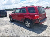 Ford Escape Xlt 1FMCU0D73BKA13949 fotografie