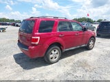 Ford Escape Xlt 1FMCU0D73BKA13949 fotografie