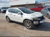 Nissan Murano Le JN8AZ1MW5DW323031 снимка