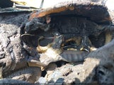 Ford Escape Se 1FMCU9GD7KUC06177 снимка