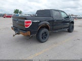 Ford F-150 Xlt 1FTFW1ET7DFA06804 снимка