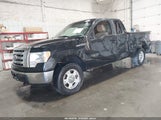 FORD F-150 XLT 1FTEX1E89AFB12834 снимка