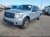 Ford F-150 Fx4/King Ranch/Lariat/Platinum/Xl/Xlt 1FTPW14VX9FA78904 fotografie