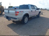 Ford F-150 Fx4/King Ranch/Lariat/Platinum/Xl/Xlt 1FTPW14VX9FA78904 fotografie