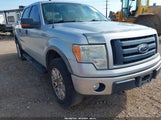 Ford F-150 Fx4/King Ranch/Lariat/Platinum/Xl/Xlt 1FTPW14VX9FA78904 fotografie