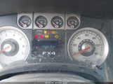 Ford F-150 Fx4/King Ranch/Lariat/Platinum/Xl/Xlt 1FTPW14VX9FA78904 fotografie