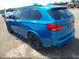 BMW X5 M 5YMKT6C31H0X20466 снимка