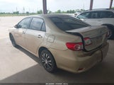 Toyota Corolla Le JTDBU4EE6B9141002 fotografie