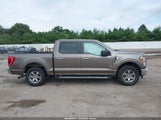 Ford F-150 Xlt 1FTEW1EP5MFA96663 снимка