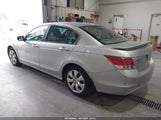 HONDA ACCORD 2.4 EX-L 1HGCP26859A189884 photo