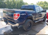 Ford F-150 Xlt 1FTFW1EF3EKE54864 снимка