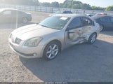 NISSAN MAXIMA 3.5 SE 1N4BA41E34C892651 снимка