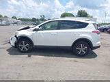 Toyota Rav4 Xle JTMWFREV6GJ084945 снимка