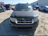 FORD ESCAPE XLT 1FMCU9DG2BKA99632 fotografie