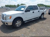 Ford F-150 Xlt 1FTFW1CT7BFA56392 снимка