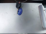 Miniaturka zdjęcia 11