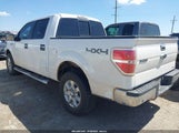 Ford F-150 Xlt 1FTFW1EF8DKG17491 снимка