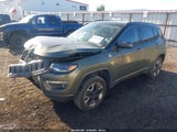 Jeep Compass Trailhawk 4X4 3C4NJDDB8JT326123 снимка