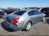 Nissan Maxima 3.5 Sl 1N4BA41E65C832316 снимка