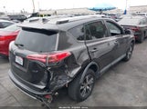 Toyota Rav4 Xle 2T3WFREV3GW281623 снимка