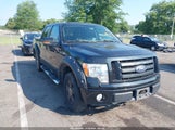 Ford F-150 Fx4/Harley-Davidson/King Ranch/Lariat/Platinum/Xl/Xlt 1FTFW1EV1AFA16368 снимка