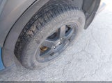 Subaru Outback Wilderness 4S4BTGUD0N3265511 снимка
