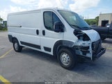 Ram Promaster  Low Roof 136 Wb 3C6TRVAG9KE502177 снимка