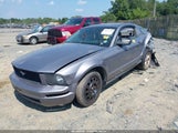 FORD MUSTANG V6 DELUXE/V6 PREMIUM 1ZVFT80N075234967 photo