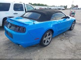 Ford Mustang Gt Premium 1ZVBP8FF9E5256515 снимка