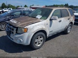 Ford Escape Hybrid 1FMCU49H78KA42341 снимка