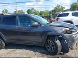 Jeep Cherokee Trailhawk 4X4 1C4PJMBX1LD581860 снимка