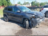 Jeep Cherokee Trailhawk 4X4 1C4PJMBX1LD581860 снимка
