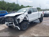 Ford F-150 Xlt 1FTFW1ED0PFB43547 fotografie