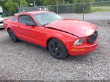 Ford Mustang V6 Deluxe/V6 Premium 1ZVFT80N775321992 снимка