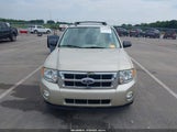 Ford Escape Xlt 1FMCU0DGXCKC79129 снимка