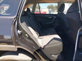 Toyota Rav4 Xle 2T3W1RFV0SW382365 photo