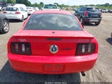 Ford Mustang V6 Deluxe/V6 Premium 1ZVFT80N075297387 fotografie