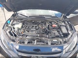 Honda Civic Ex 19XFC1F32LE021260 снимка