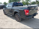 Ford F-150 Xlt 1FTEW1EP6HFC43420 снимка