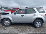 Ford Escape Xlt 1FMCU93789KB27266 снимка