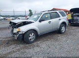 Ford Escape Xlt 1FMCU93789KB27266 снимка