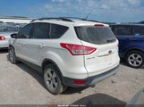 Ford Escape Se 1FMCU0GX3GUB97202 снимка