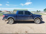 Ford F-150 Fx4 1FTPW14V99FB24139 снимка