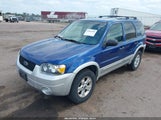 FORD ESCAPE XLT/XLT SPORT 1FMYU93107KA05659 снимка