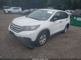 Honda Cr-V Lx 5J6RM4H37EL092080 снимка