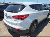 Hyundai Santa Fe Sport 2.4L 5XYZT3LBXEG145237 fotografie