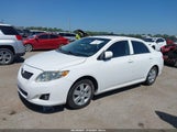 Toyota Corolla Le 2T1BU4EE9AC427189 снимка