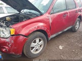 Ford Escape Xlt 1FMCU03789KC66843 снимка